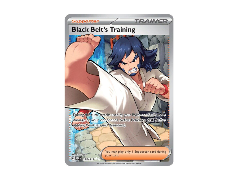 Black Belt's Training [ASC EN 255/217]