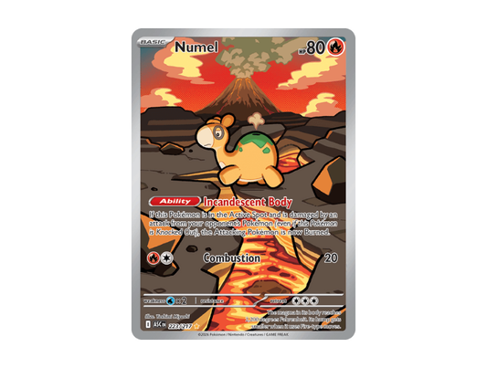 Numel [ASC EN 223/2217]